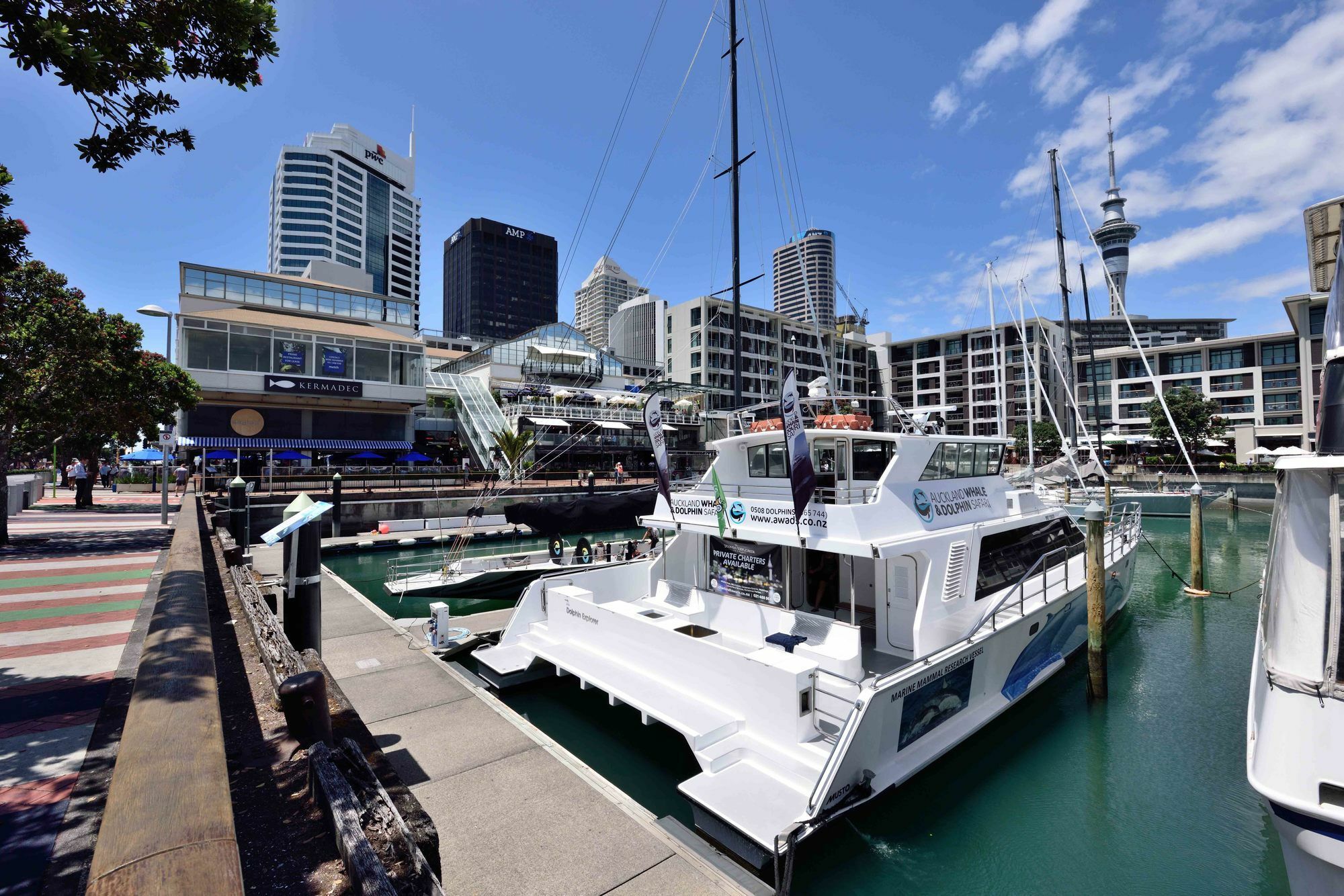Furnished Apartment In Auckland Cbd 外观 照片